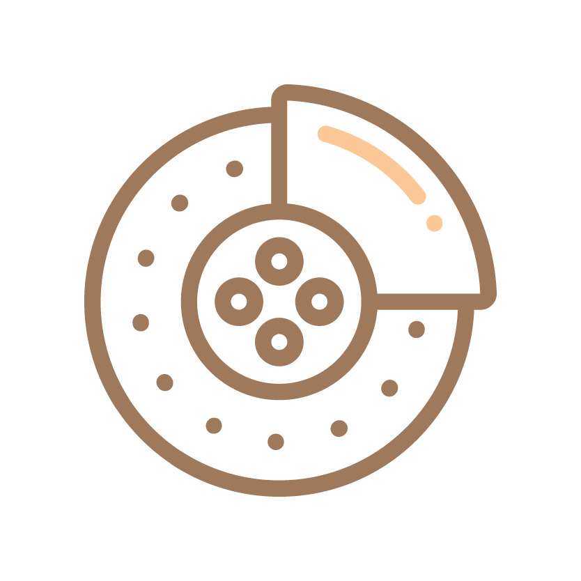 Petra Automotive Products Brake World Petra Automotive Products Brake World